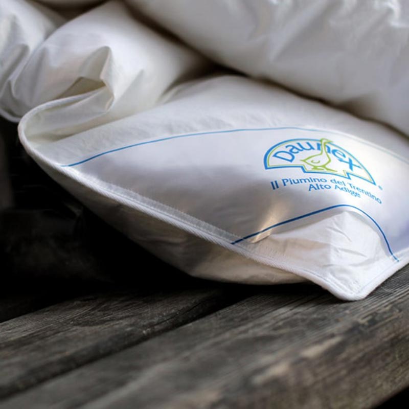 Daunex, valori e innovazione