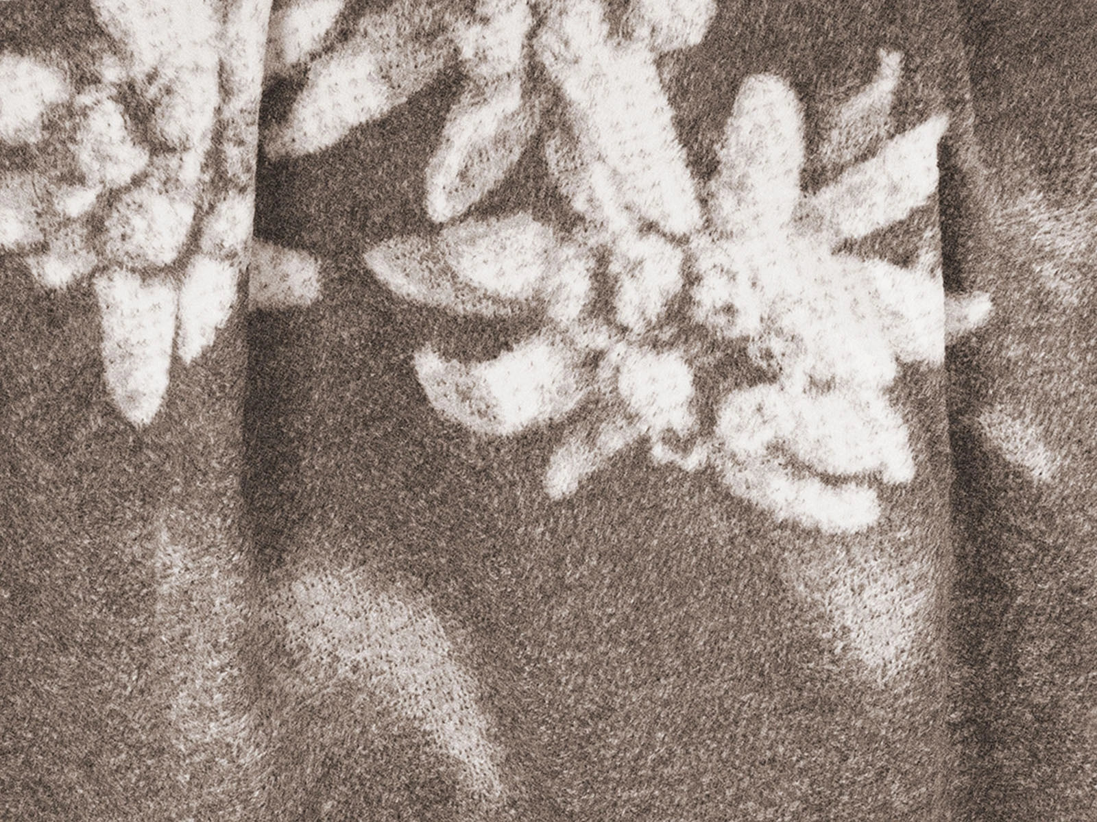 Coperta Softcotton Edelweiss dettaglio tessuto colore tortora