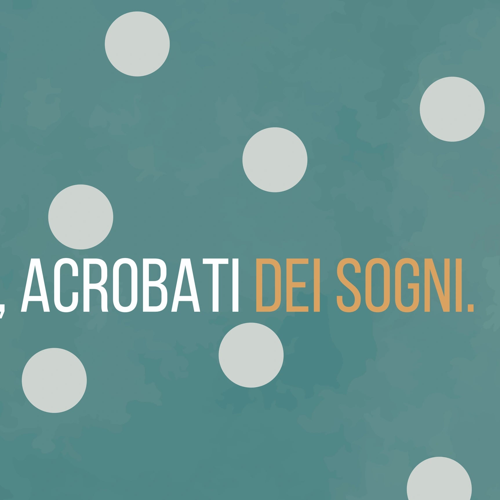 Parure Copripiumino Stampa Digitale Acrobati dei Sogni dettaglio disegno