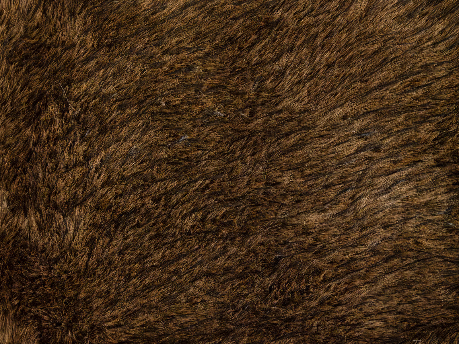 Plaid e coperta effetto pelliccia Daunex Fur Deluxe colore marrone dettaglio pelliccia