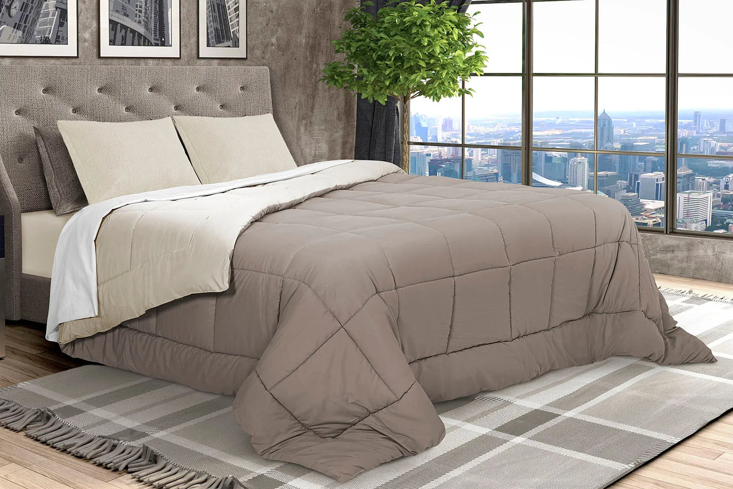 Trapunta bicolore Daunex tinta unita - Home Loves