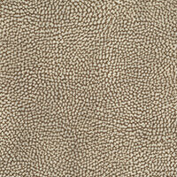 05_sahara