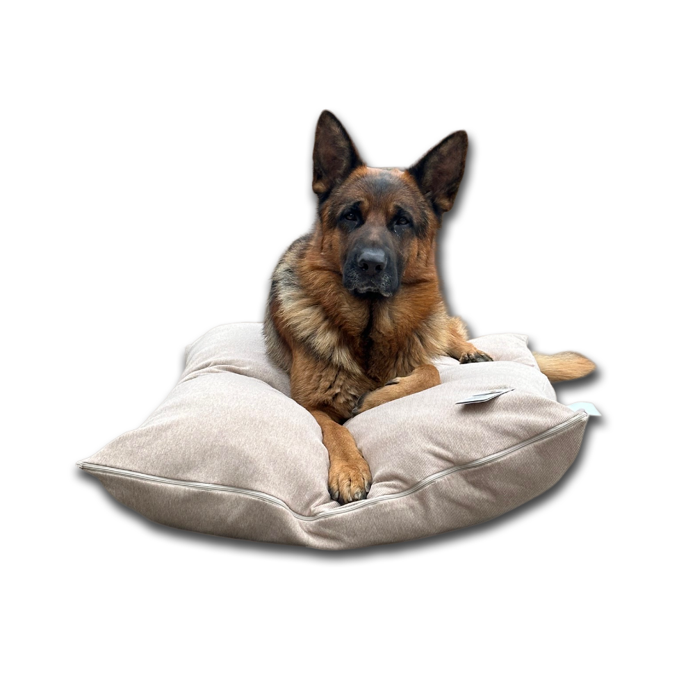 Cuscino per cani sfoderabile lavabile super imbottito e morbido