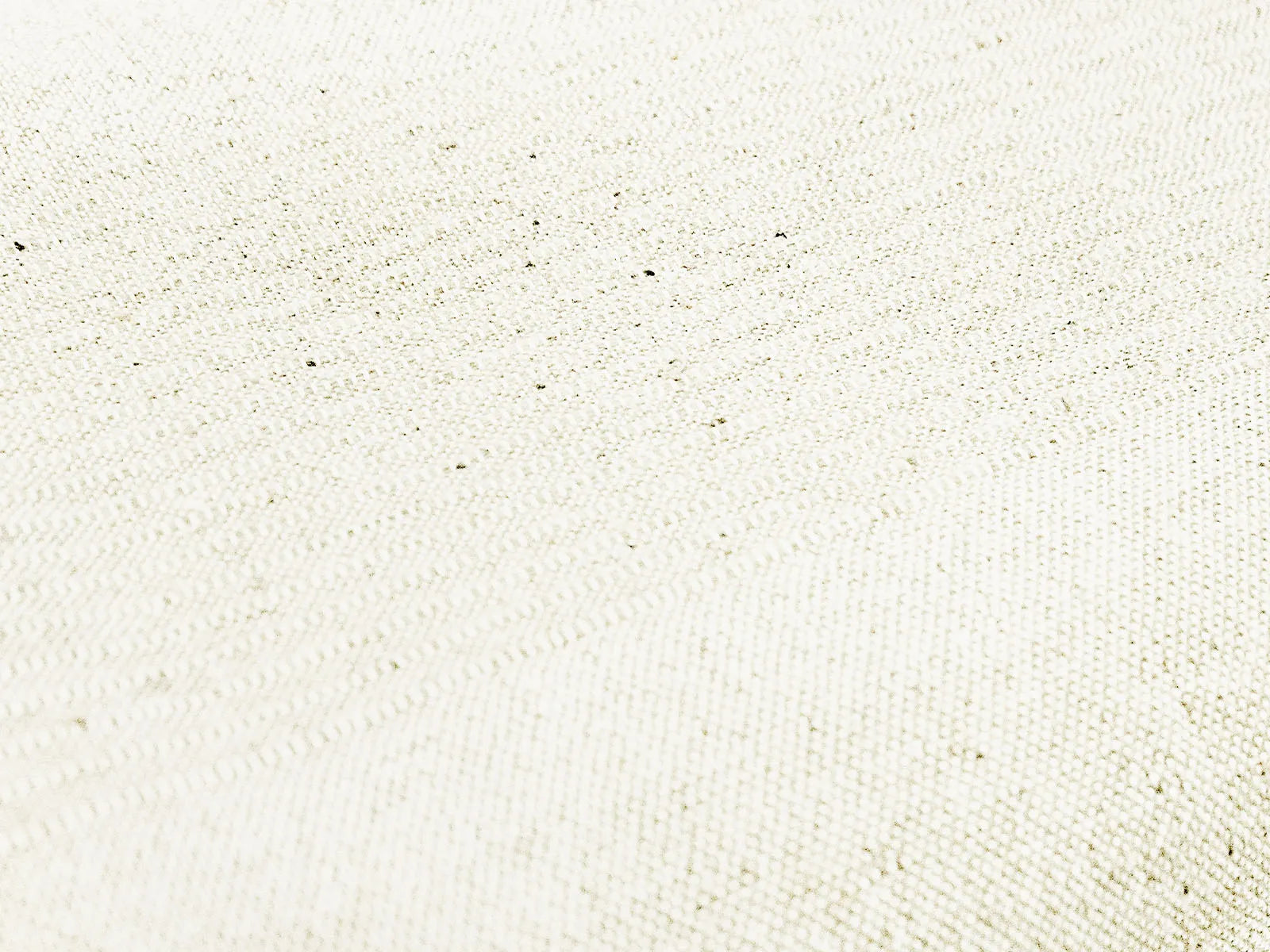 Copritutto Daunex surat tinta unita - Home Loves