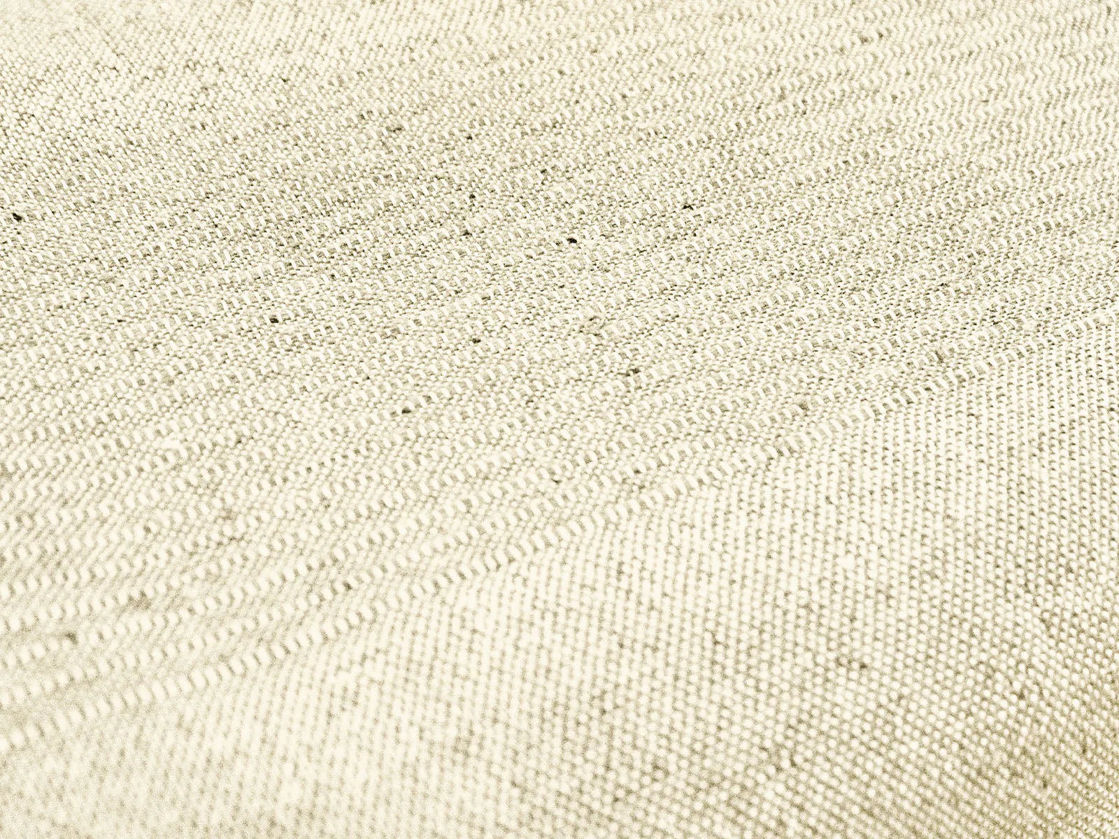 Copritutto Daunex surat tinta unita - Home Loves