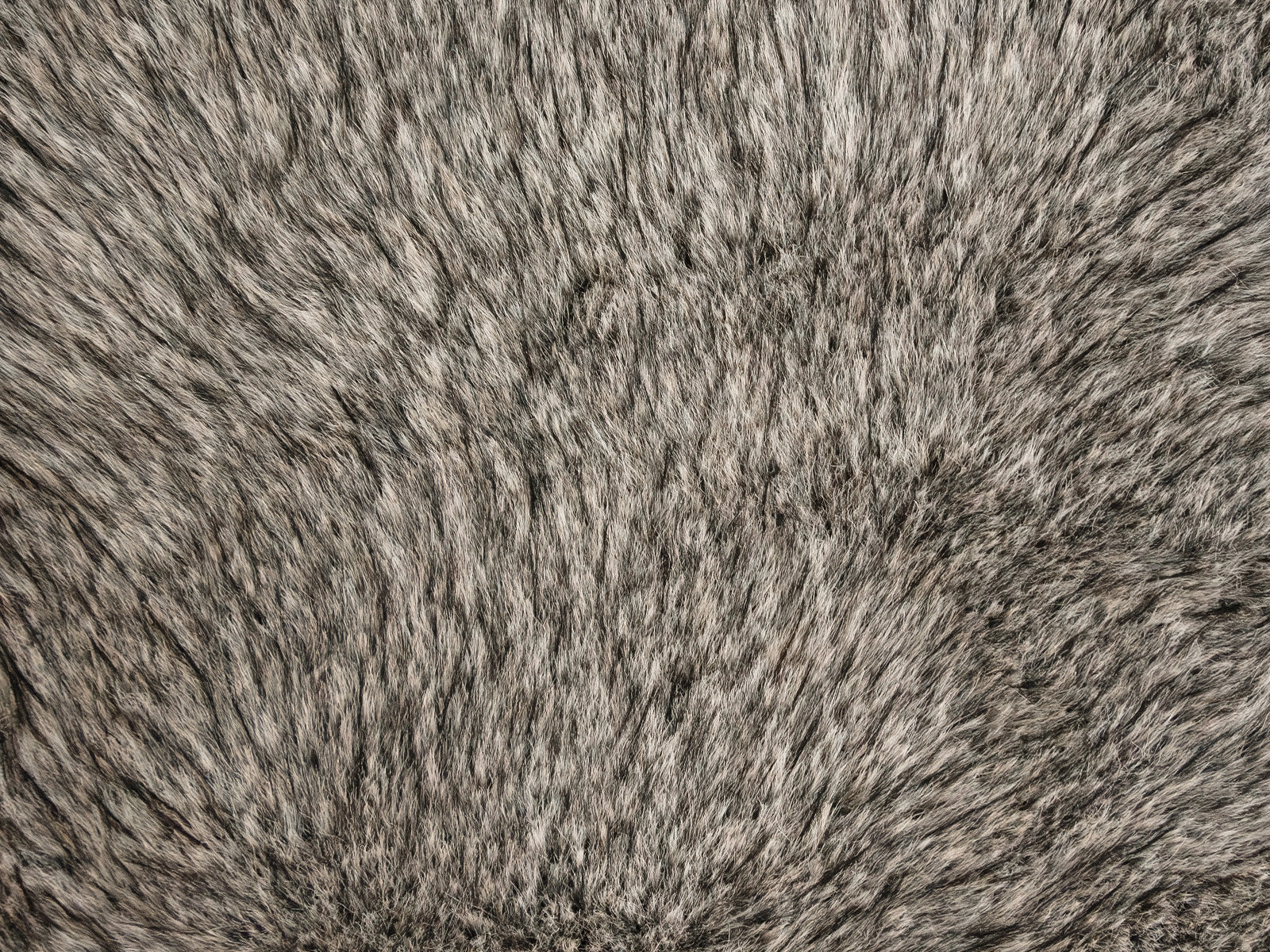 Plaid e coperta effetto pelliccia Daunex Fur Deluxe colore grigio dettaglio pelliccia