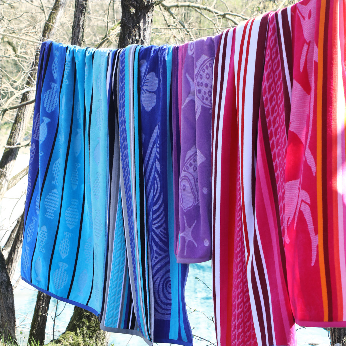 Telo Mare Jupiter