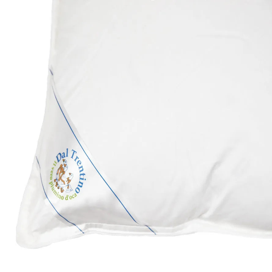 Guanciale cortina Daunex in piumino d'oca misura 50x80 cm - Home Loves