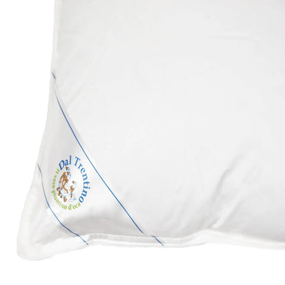 Guanciale cortina Daunex in piumino d'oca misura 50x80 cm - Home Loves